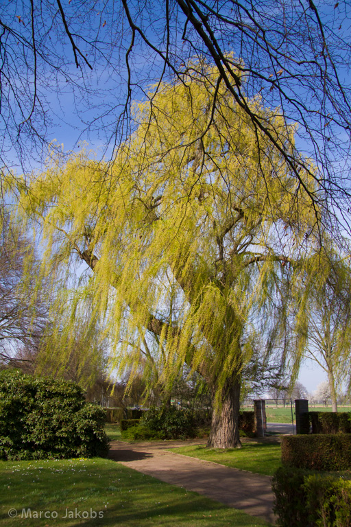 140329144050 Marco Jakobs 140